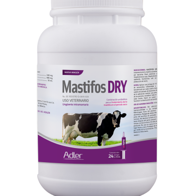 Mastifos DRY